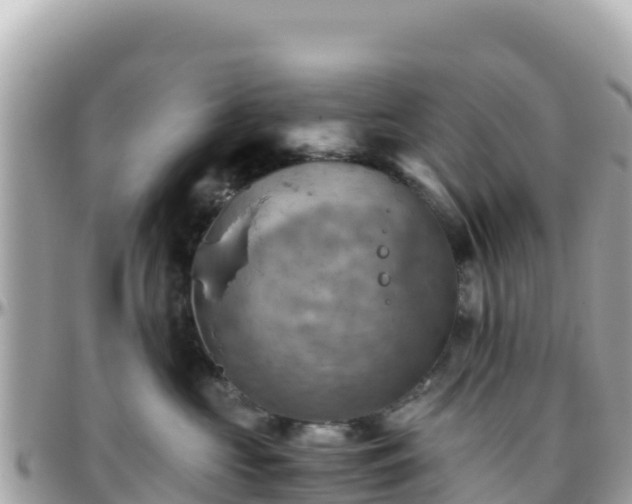 X0000096220573200801251059