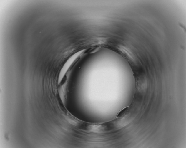 X0000096220575200801251059