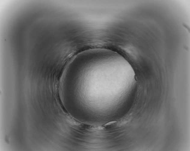 X0000096220576200801251059