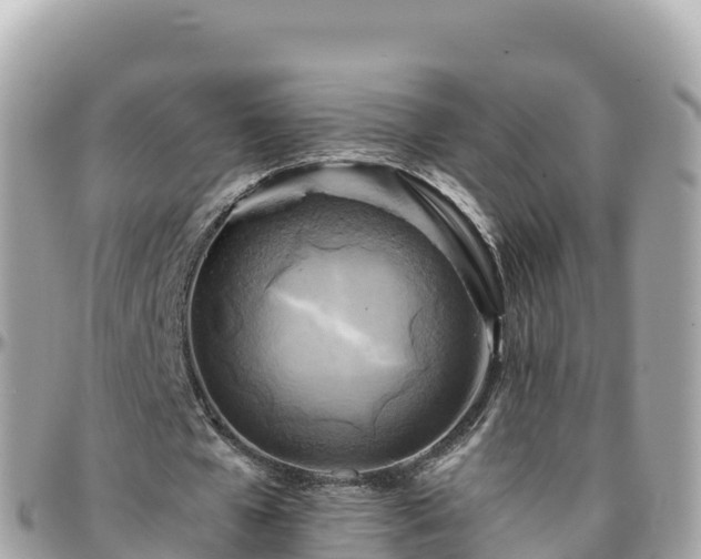 X0000096220577200801251058