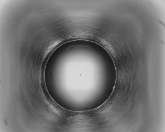 X0000096220578200801251058