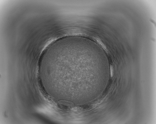 X0000096220579200801251058