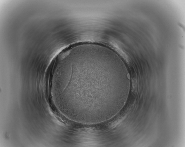 X0000096220580200801251058