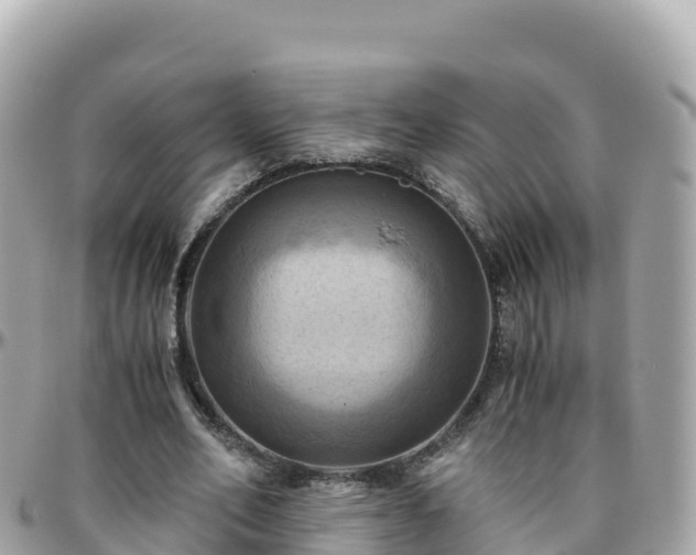 X0000096220582200801251058