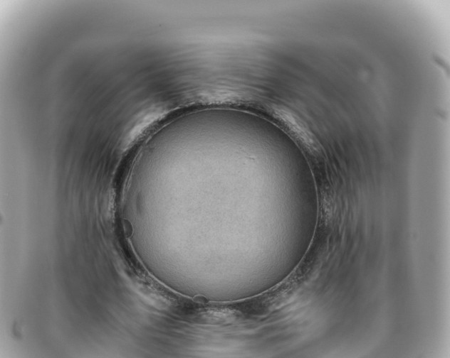 X0000096220583200801251058