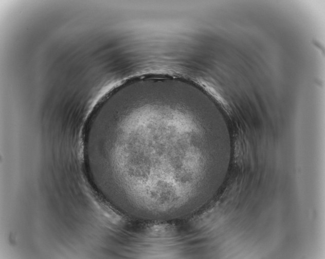 X0000096220584200801251058