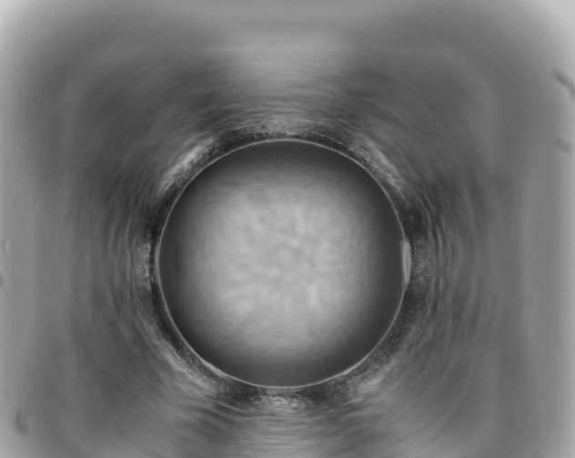 X0000096220585200801251058