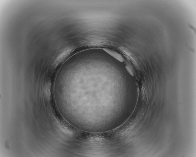 X0000096220586200801251058