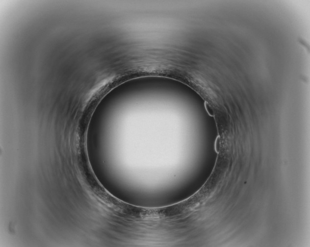 X0000096220587200801251058