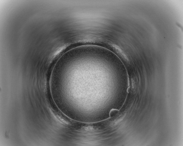 X0000096220588200801251058