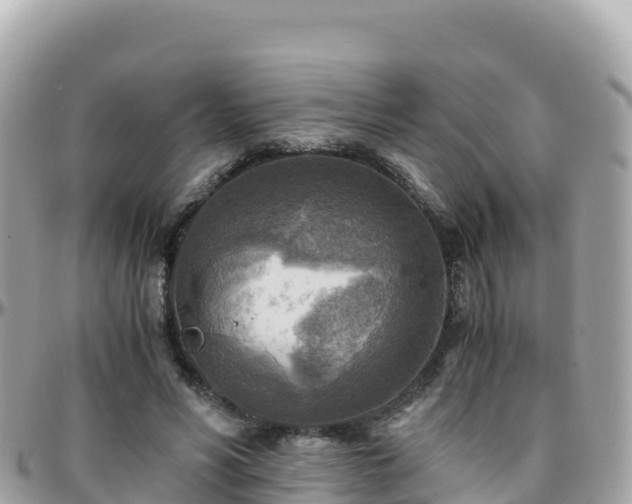 X0000096220590200801251058