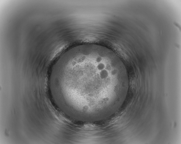 X0000096220591200801251058