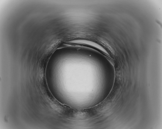 X0000096220593200801251058