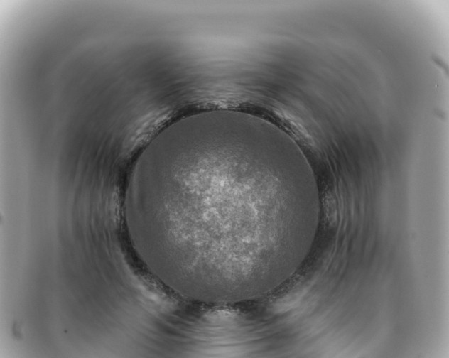 X0000096220594200801251058