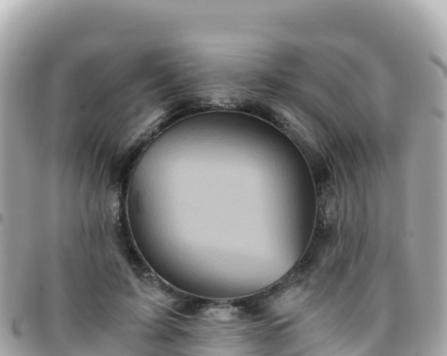 X0000096220595200801251058