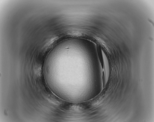 X0000096220596200801251058