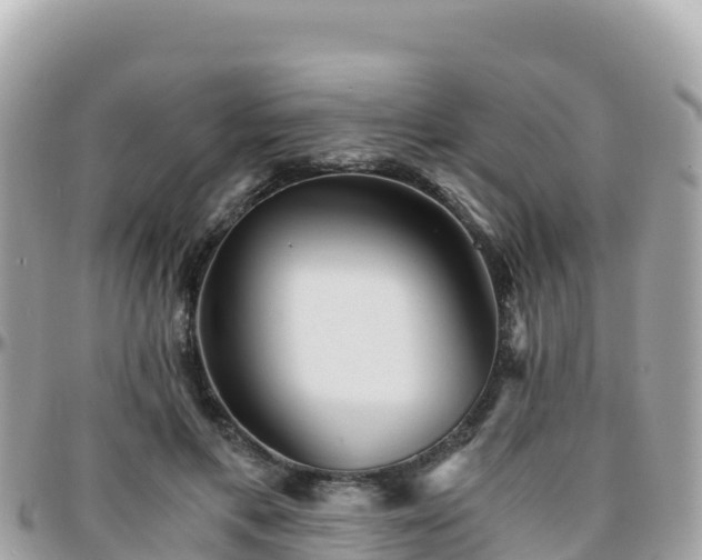 X0000096220597200801251058