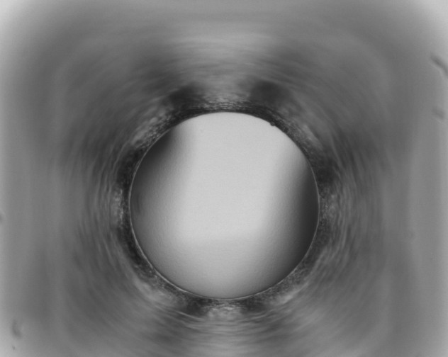 X0000096220599200801251058