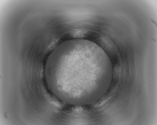 X0000096220600200801251058