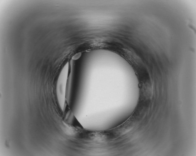 X0000096220601200801251058