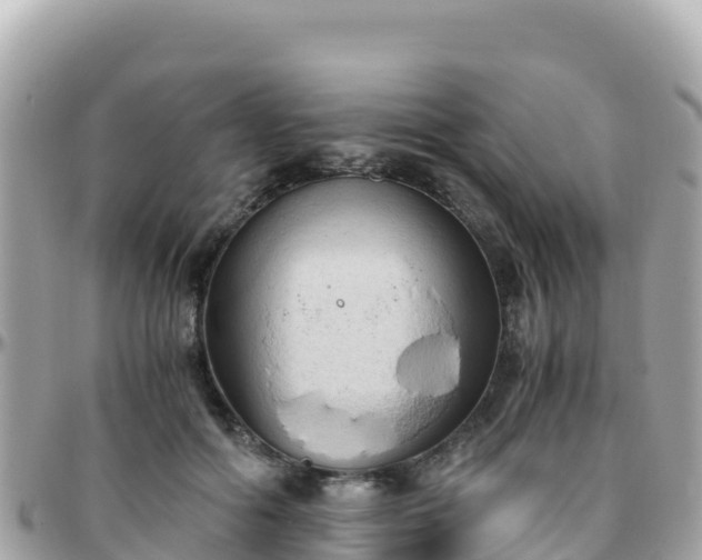 X0000096220602200801251058