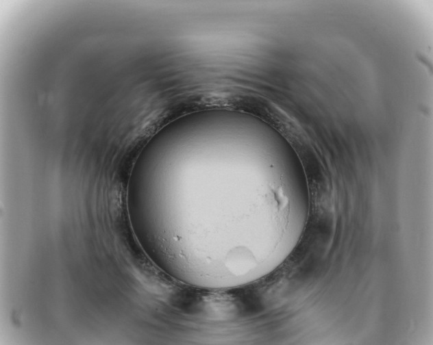 X0000096220603200801251058