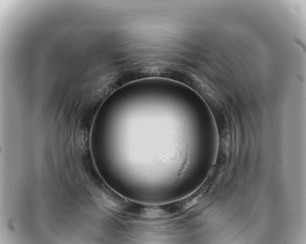 X0000096220605200801251058