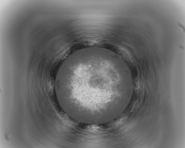 X0000096220607200801251058