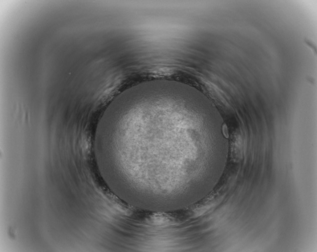 X0000096220608200801251058