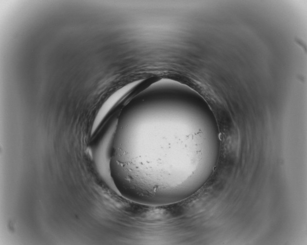 X0000096220609200801251058