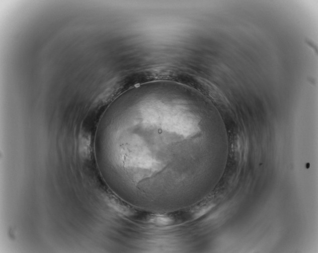 X0000096220610200801251058