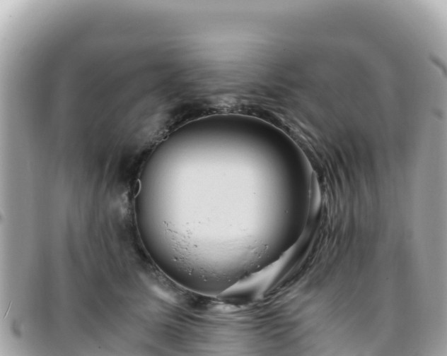 X0000096220611200801251058