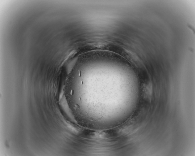 X0000096220612200801251058