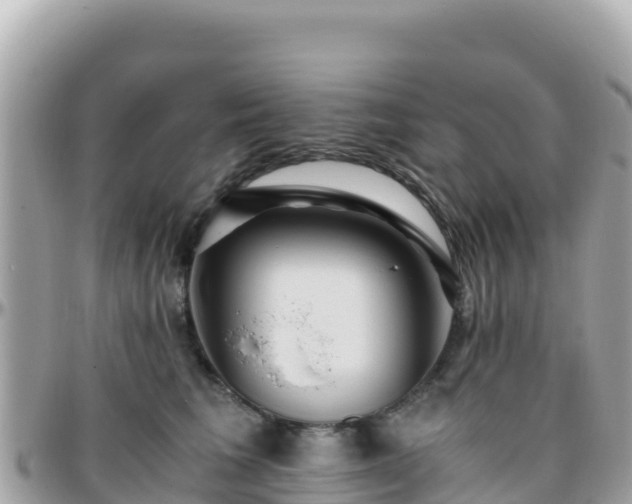 X0000096220613200801251058