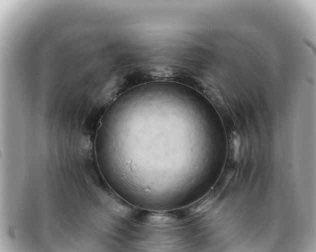 X0000096220614200801251058