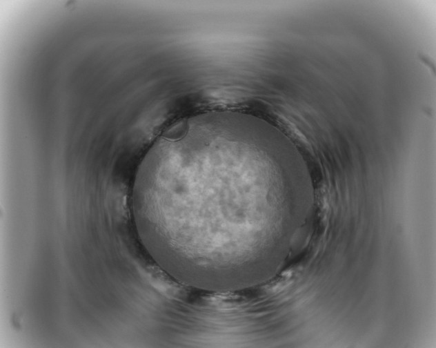 X0000096220615200801251058