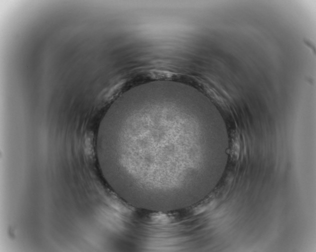 X0000096220616200801251058