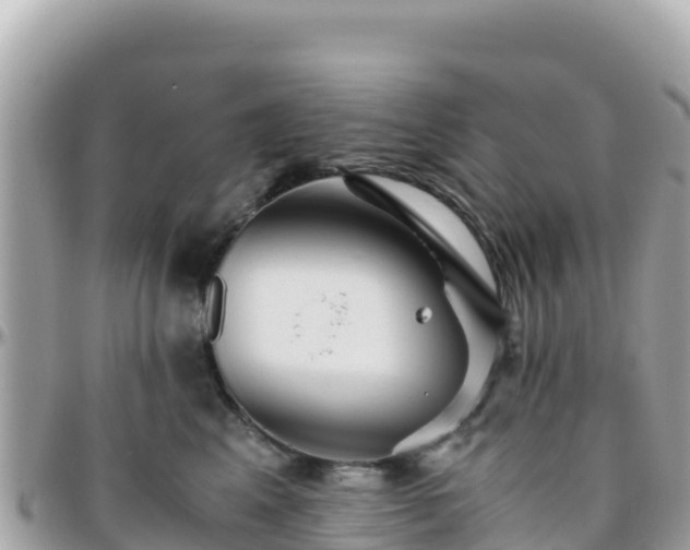 X0000096220617200801251058