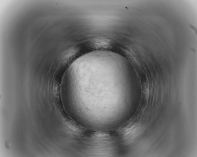 X0000096220619200801251058