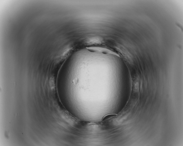 X0000096220620200801251058