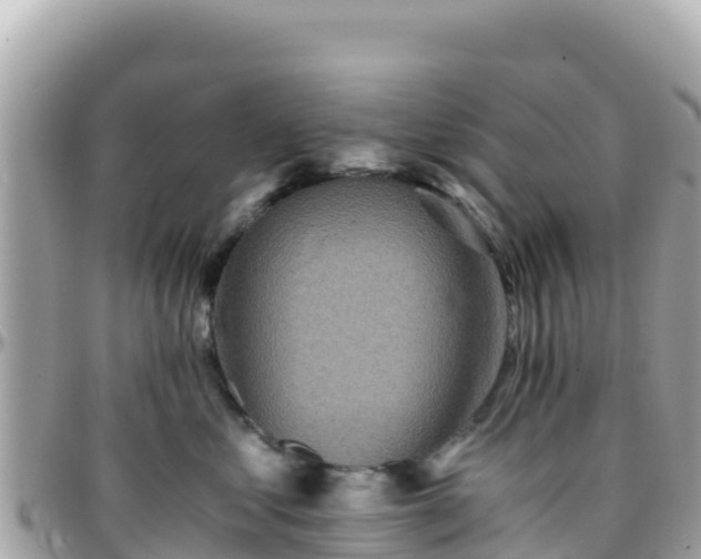 X0000096220621200801251058