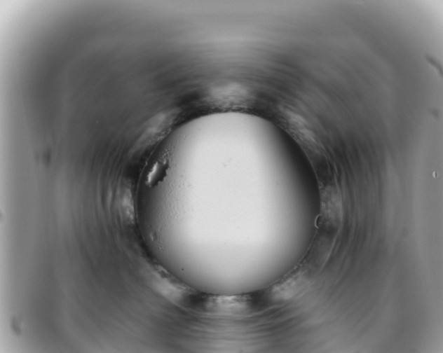 X0000096220622200801251058