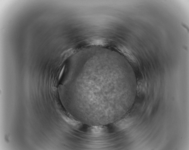 X0000096220623200801251058