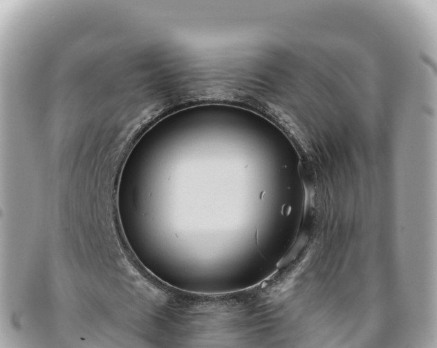 X0000096220625200801251057