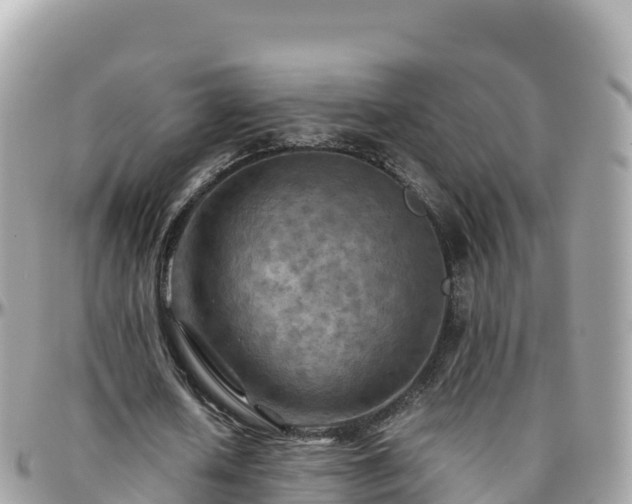 X0000096220626200801251057