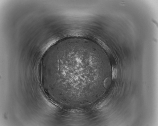 X0000096220627200801251057