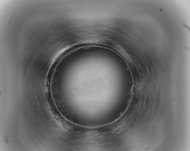 X0000096220628200801251057