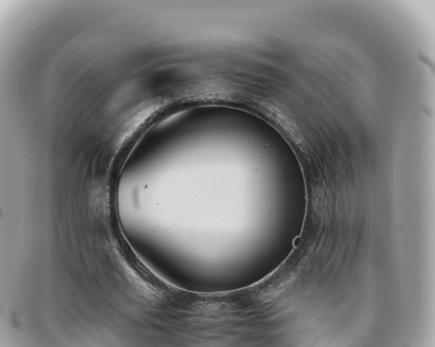 X0000096220629200801251057