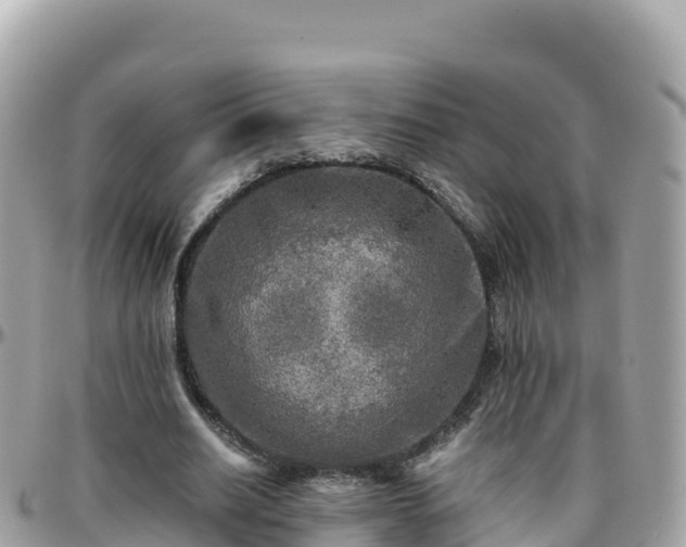 X0000096220630200801251057