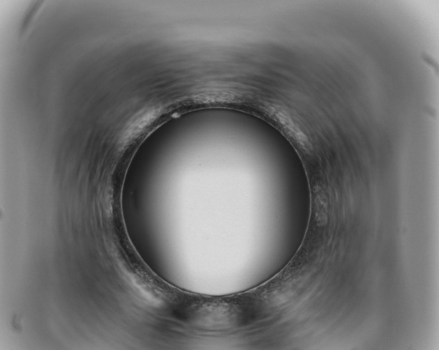 X0000096220631200801251057